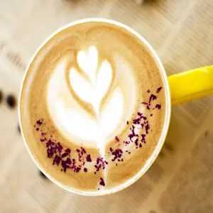 Applicazione di caffè al gusto di latte di qualità professionale crema Non casearia in polvere sfusa