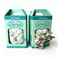 Coffrets cadeaux écologiques pour kits de culture de champignons, boîtes d'emballage biodégradables en papier pour la culture de champignons
