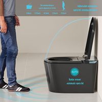 WC intelligent monobloc, couleur personnalisée, OEM/ODM, double chasse d'eau, pour appartement moderne