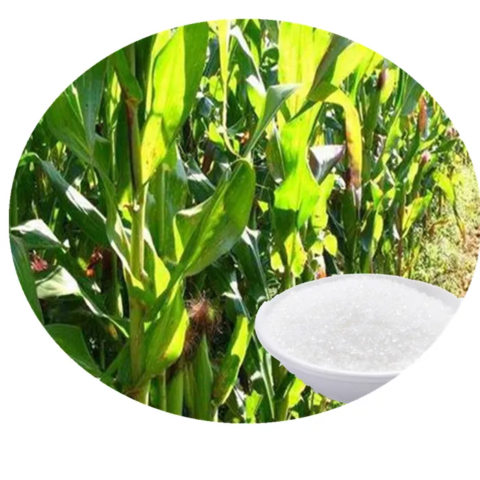 Gel absorbant Super absorbant résine Polyacrylate de Potassium adapté à l'agriculture horticole