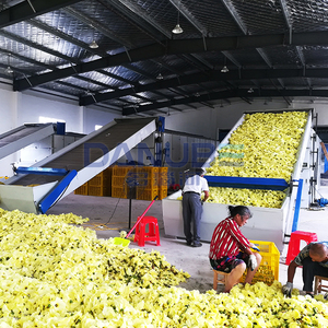 Séchoir à granulés de biomasse à bande transporteuse certifié qualité pour Sunset Muskmallow, machine de séchage de Sunset Muskmallow - Product Image 5