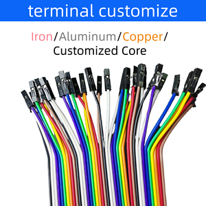 रंगीन तांबे के डपॉन्ट केबल 10 सेमी 15 सेमी 20 सेमी 40 सेमी 40 सेमी 40 सेमी 40पिन पुरुष महिला ph2.0 अवधि शंकु ब्रेडबोर्ड जम्पर तार - Product Image 4