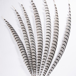 Pluma <span class=keywords><strong>de</strong></span> cola <span class=keywords><strong>de</strong></span> pollo <span class=keywords><strong>de</strong></span> 60-100 cm, pluma <span class=keywords><strong>de</strong></span> fauno silvestre, pluma <span class=keywords><strong>de</strong></span> cola <span class=keywords><strong>de</strong></span> faisán, <span class=keywords><strong>disfraz</strong></span>, decoración para el hogar, pluma para espectáculos YF-044 - Product Image 4