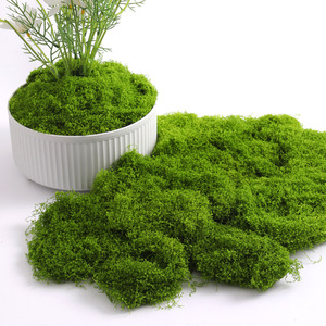 Musgo Artificial Verde, Planta Simulada, Decoración de Paisaje en Miniatura, Césped Artificial, Bonsái en Maceta, Adorno de Superficie, Manualidades DIY - Product Image 3