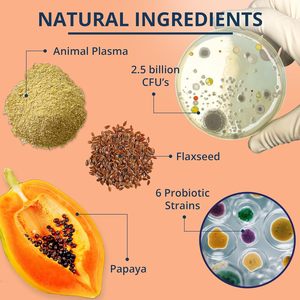 Probióticos para Perros con Prebióticos, Marca Privada OEM ODM, Promueve un Microbioma Intestinal Equilibrado, Refuerza la Salud Inmunológica, Masticables Blandos - Product Image 4