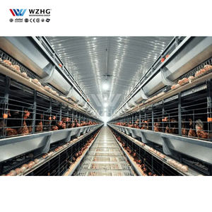 Cooperativa de ganado Casa avícola de acero prefabricada Granja avícola de acero de campo libre - Product Image 3