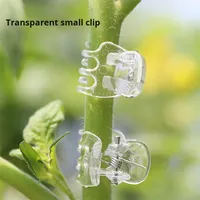 Transparan enam cakar Phalaenopsis klip bunga mawar berkebun clemagnetik batang cabang tetap plastik Pekerjaan taman sederhana