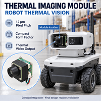 Module d'imagerie thermique USB UVC 256x192, caméra infrarouge LWIR VOx 12um, cœur de caméra CVBS MIPI UART 5V, compact, faible consommation d'énergie