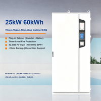 Système de batterie solaire tout-en-un triphasé 25 kW 60 kWh LiFePO4 BMS CAN IP54 pour la maison et le stockage C&I de petite taille