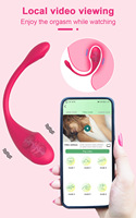 App-gesteuertes Liebeskugel-Vibrator mit Fernbedienung, Kegel-Ball, G-Punkt-Stimulator und tragbarem Klitoris-Vibrator für Frauen