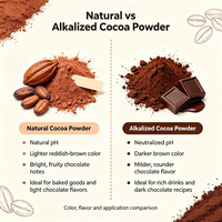 Fournisseur de poudre de cacao brute OEM, poudre de cacao naturelle