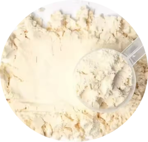 Isolat de protéines de lactosérum aromatisé naturellement, sans gluten, poudre de protéines de lactosérum, sans avis pour le moment, végétalien, sans OGM - Product Image 5