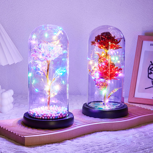 UO Mothers Day Gift 2023 Big Size Rose Artificial flower In Glass Dome Led Lamp Eternal Galaxy Rose 24k Gold Rose with Gifts Box