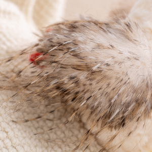 Venta al por mayor <span class=keywords><strong>de</strong></span> peluche <span class=keywords><strong>de</strong></span> pollo <span class=keywords><strong>de</strong></span> simulación <span class=keywords><strong>de</strong></span> animales <span class=keywords><strong>de</strong></span> peluche decoración del hogar niños fiesta regalo suave realista muñeca <span class=keywords><strong>de</strong></span> pollo - Product Image 3