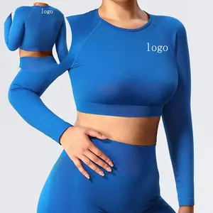 OEM Gym Sportswear Women Winter Autumn Hot Selling New Active Sport Top Knitted Seamless Long Sleeve Yoga Fitness Long Sleeve
