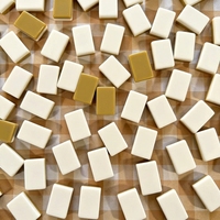 Jeu de Mahjong de Luxe Américain en Acrylique, 160 Tuiles, Portable, Haut de Gamme, Table de Jeu, Tuiles de Mahjong Caramel pour Joueurs de Mahjong