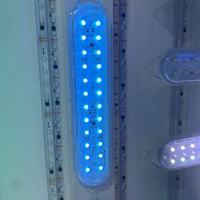 RGB-Pixel-Lichtstreifen, wasserdicht, programmierbare LED-Pilzlichter für Freizeitpark-Riesenrad