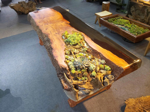 Table de salon en bois massif à bord naturel avec résine époxy et plantes succulentes, faite à la main, en bois dur naturel, pour la décoration intérieure - Product Image 4
