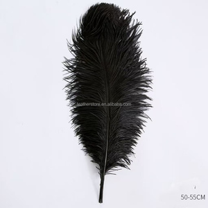 Plumes d'autruche colorées de qualité supérieure, 50-55 cm (20-22 po), pour costumes de carnaval et de festival - Product Image 5
