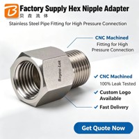 Conexión de Válvula de Tubería Bayou Lok de Acero Inoxidable 316L Forjado con Cabeza Hexagonal Pulida, Rosca NPT/BSP Macho/Hembra, Clase de Alta Presión 3000