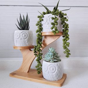 Owl Succulent Pots with 3 Tier Bamboo Saucers Stand Holder - White Modern Decorative Ceramic Flower <strong>Planter</strong> Plant Pot with <strong>Drain</strong> - Product Image 3