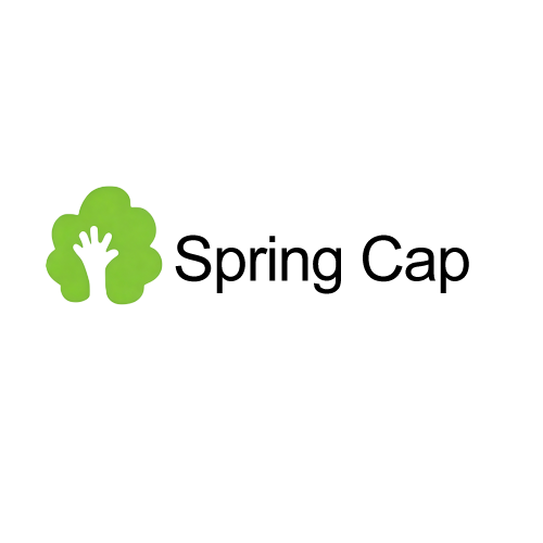 Xiamen Spring Technology Co., Ltd. logo