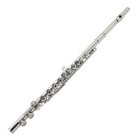 Good Quality C Tone Closed Hole Nickel Plated 16 Holes Left Handed Flute WoodWind Instrument