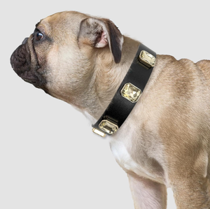 Collare <span class=keywords><strong>per</strong></span> <span class=keywords><strong>Cani</strong></span> Fatto a Mano <span class=keywords><strong>in</strong></span> Pelle Vegana Nera con Cristalli, Collare Regolabile <span class=keywords><strong>in</strong></span> Pelle con Fibbia <span class=keywords><strong>in</strong></span> Lega, Collare Classico <span class=keywords><strong>per</strong></span> Animali Domestici - Product Image 6