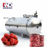 Machine de lyophilisation sous vide à haute vitesse FD-100, best-seller commercial, pour la production de collations croustillantes à la fraise par procédé de sublimation