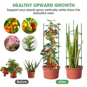 Paquete de 3 jaulas para plantas de enrejado vegetal, estacas de tomate para ornamentación de jardín y flores y frutas trepadoras verticales - Product Image 5