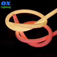 Tube en silicone à éclairage circulaire à 360 degrés, gaine tressée, bande lumineuse LED néon flexible