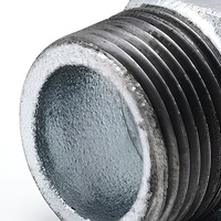 Bouchon de tuyau hexagonal galvanisé à filetage extérieur mâle, embout d'étanchéité