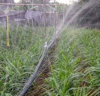Tuyau micro-pulvérisateur et bande d'irrigation goutte-à-goutte en PE à économie d'eau Lvzhou O1 pour usage agricole