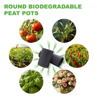 Grower Choice - Conteneur de bouturage aérien en PP de qualité alimentaire pour une croissance rapide des racines - Lot de 12 - Idéal pour la culture du poivron