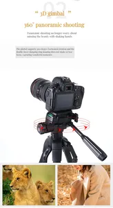 Trípode de mango portátil con cabeza de cuna ajustable de transmisión en vivo WT <span class=keywords><strong>3560</strong></span> más vendido para cámara Canon Nikon - Product Image 5