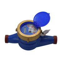 Compteur d'eau mécanique en fonte bleue pour usage résidentiel, jauge de débit froid avec couvercle de protection, équipement de mesure fileté pour applications utilitaires