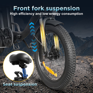 Bicicleta Eléctrica de Carga EB10 con Doble Suspensión, 13ah, Gran Capacidad de Carga, Llantas de 20 Pulgadas, Largo Alcance - Product Image 2