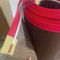 Courroie de distribution en maille de fil de téflon de 60 cm pour tous les fours à poudre thermofusible DTF, fours à pâtisserie et machines de séchage, livraison en 3 jours