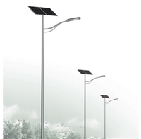 Lampes solaires à induction extérieures en aluminium IP65 de 60W à 300W, lampadaires solaires AC avec garantie de 10 ans et surveillance à distance pour jardins et routes
