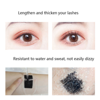 Maquillage de marque privée Huile longue durée Allonger Curl Mascara 4D Gel pour les sourcils et Mascara Croissance des cils Maison Vegan Volume Waterproof