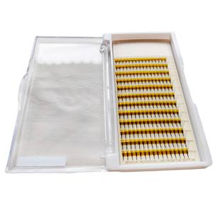 Marque privée Extensions de cils préfabriquées 5D 12 lignes thermocollées 0.07 CD LM Curl Ventilateurs préfabriqués foncés pour la beauté - Product Image 2