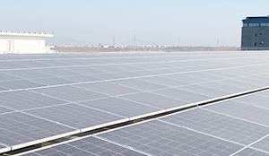 <b>200W</b> Monocrystalline Silicon <b>Solar</b> <b>Solar</b> Photovoltaic Module 36V <b>Solar</b> <b>Solar</b> Power - Product Image 5