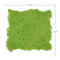 OH ARTS Vente Flash Plantes artificielles en mousse verte, tapis vert pour décoration intérieure, mousse artificielle murale pour aménagement paysager intérieur