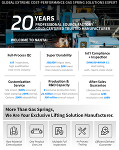 OEM chất lượng ô tô khí thanh chống mùa xuân khí nâng hỗ trợ cho xe mui xe thân cây cổng sau, 600N lực lượng với bóng doanh - Product Image 6