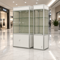 Comptoir de présentation cubique en verre fumé Extra Vision, robuste, facile à nettoyer, éclairage LED commercial pour café, bijouterie, vente au détail
