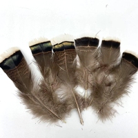 Plumes de dinde de couleur naturelle, plumes de couette d'aile de dinde pour l'artisanat, bijoux de carnaval, accessoires d'artisanat