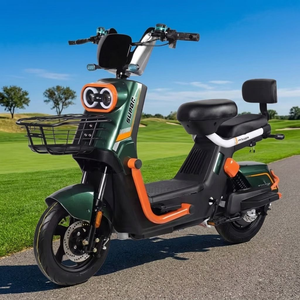 <span class=keywords><strong>Bicicleta</strong></span> <span class=keywords><strong>Eléctrica</strong></span> de 500W Líder en el Mercado - ¡Oferta! Motor de Cobre Puro, Actualización de Frenos de Disco - Product Image 2