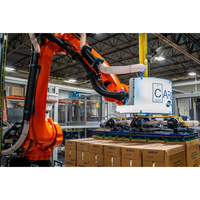 Robot industriel palettiseur avec ventouse à vide pour la manutention de palettes, sacs et boîtes, et empileur de palettes