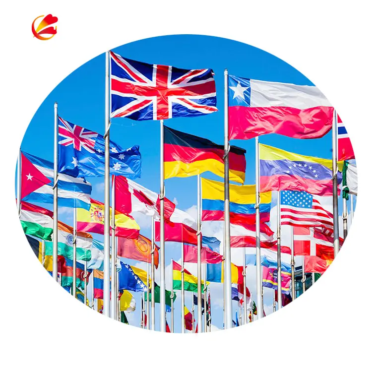 Bandiere personalizzate di fornitura all'ingrosso con stampa doppia faccia bandiera nazionale personalizzata 3x5 tutte le dimensioni di tutte le bandiere del paese