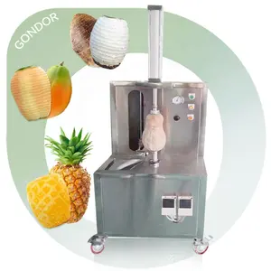 Wash Breadfruit Peeler Mango Pineapple Fruit Vegetable Automatic Coconut Peel Machine for Process